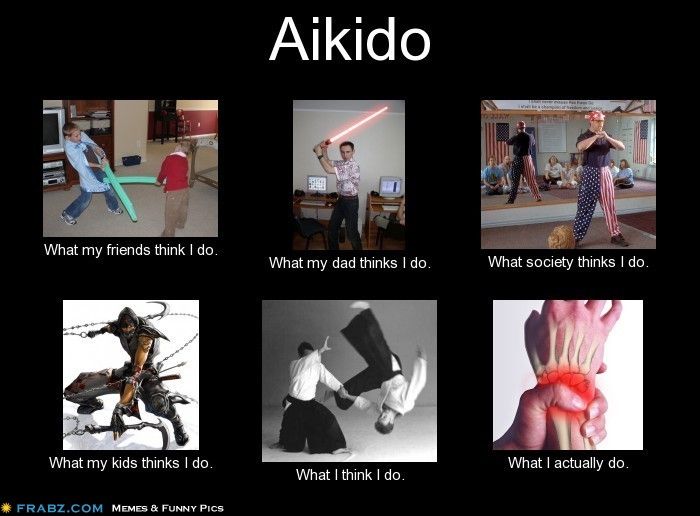 Detail Aikido Meme Nomer 3