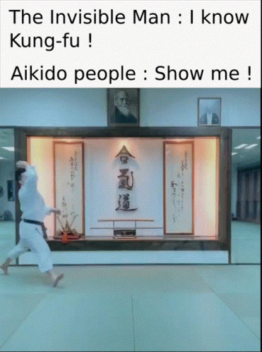 Detail Aikido Meme Nomer 4