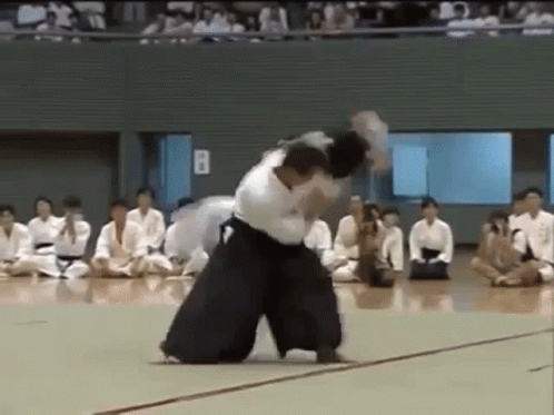 Detail Aikido Meme Nomer 29