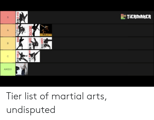 Detail Aikido Meme Nomer 50