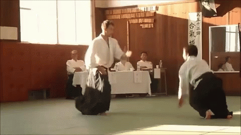 Detail Aikido Meme Nomer 55