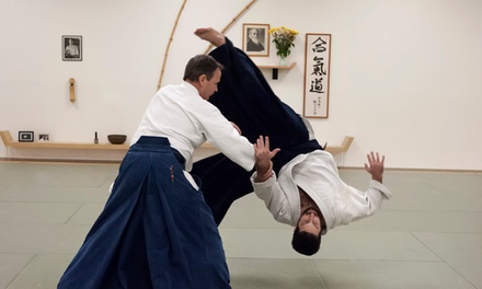 Detail Aikido Palm Beach Nomer 11