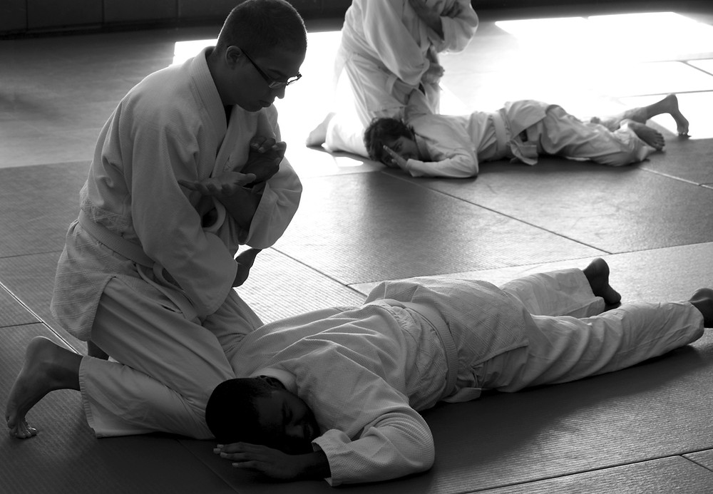 Detail Aikido Palm Beach Nomer 22