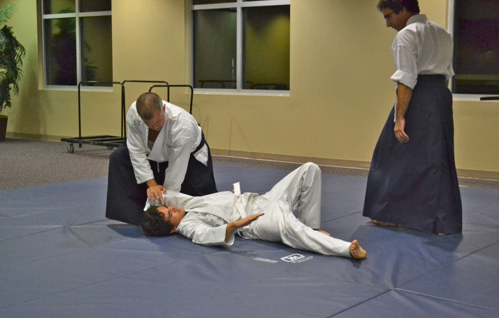 Detail Aikido Palm Beach Nomer 23