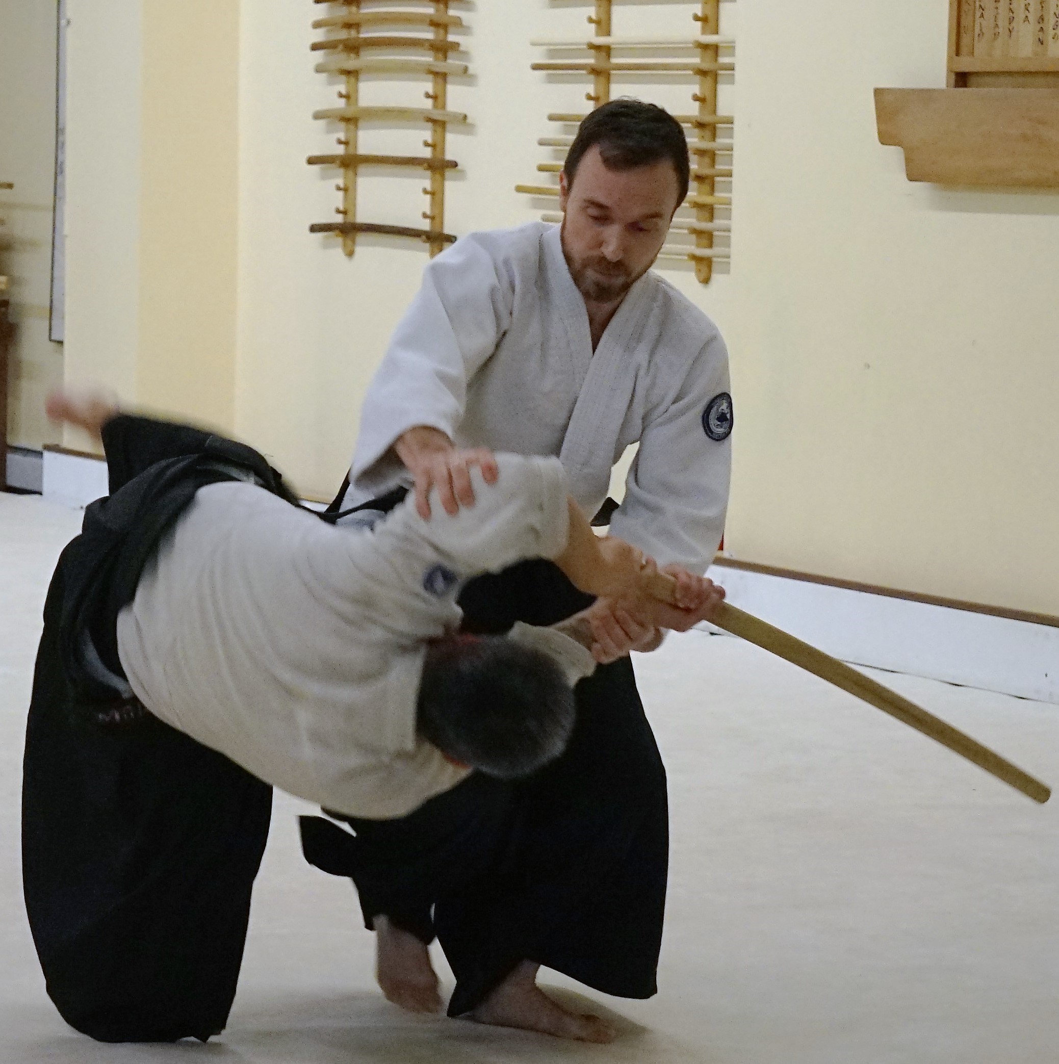 Detail Aikido Palm Beach Nomer 29