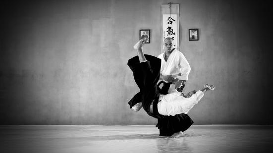 Detail Aikido Wallpapers Nomer 13