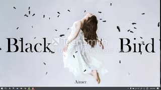 Detail Aimer Wallpaper Nomer 20