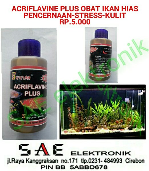 Detail Air Aquarium Kuning Nomer 31