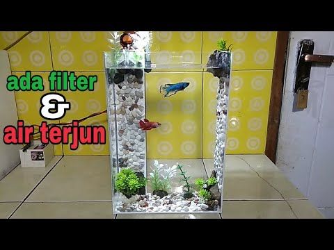 Detail Air Aquarium Kuning Nomer 44