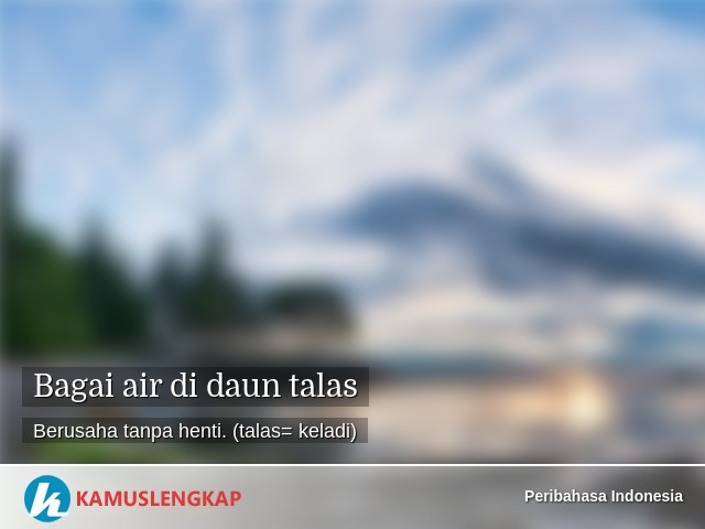 Detail Air Diatas Daun Talas Nomer 48