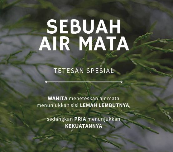 Detail Air Mata Wanita Yang Tersakiti Nomer 35