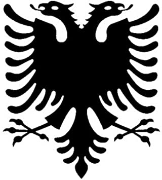 Detail Albanische Adler Nomer 2
