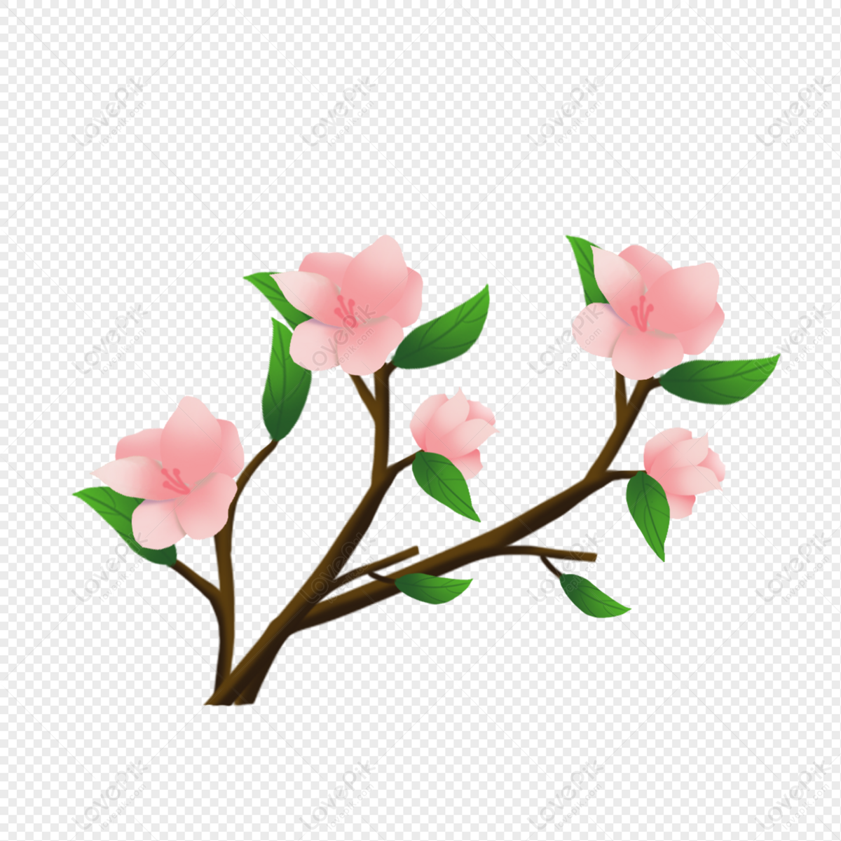 Detail Floral Branch Png Nomer 12