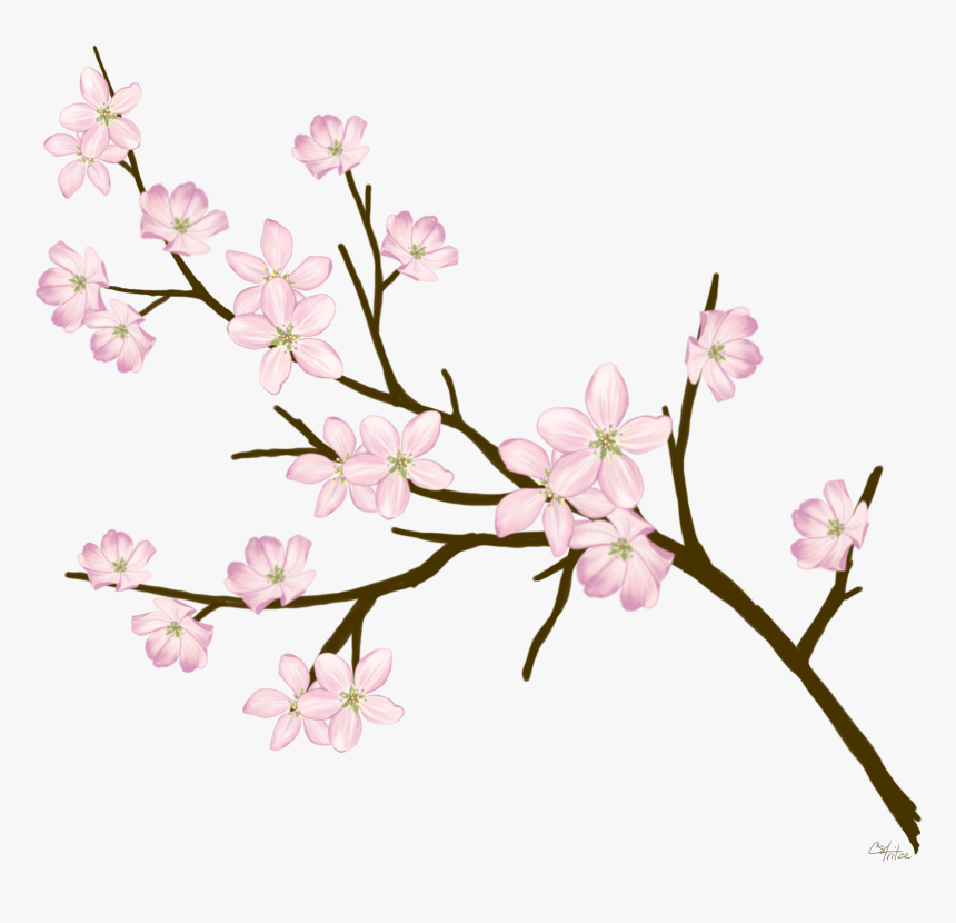 Detail Floral Branch Png Nomer 2