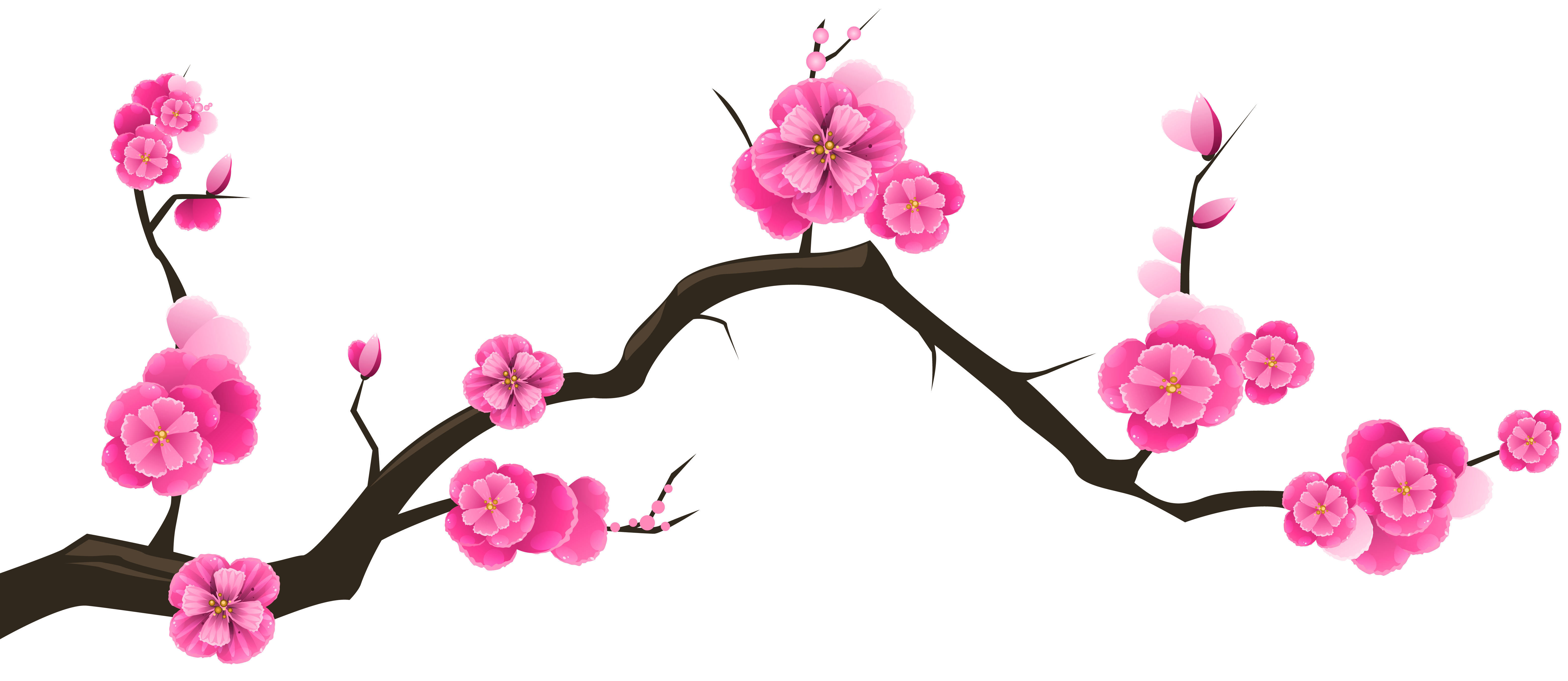 Detail Floral Branch Png Nomer 3