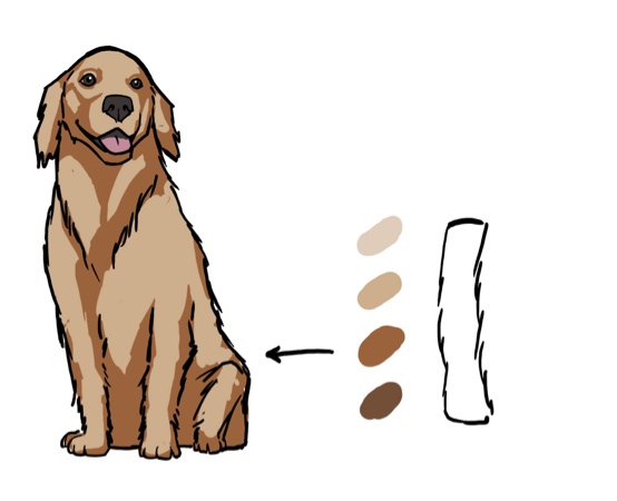 Golden Retriever Gezeichnet - KibrisPDR
