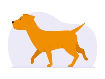 Detail Golden Retriever Gezeichnet Nomer 12
