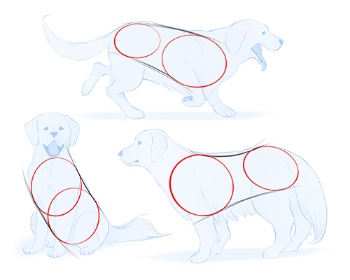 Detail Golden Retriever Gezeichnet Nomer 22