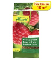 Detail Himbeeren Spalier Bilder Nomer 14