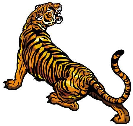 Detail Hintergrund Tiger Nomer 12