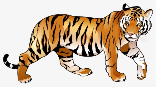 Detail Hintergrund Tiger Nomer 7