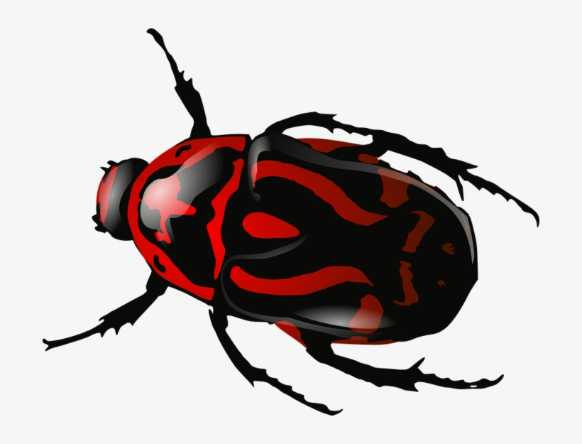 Detail Insect Png Nomer 4