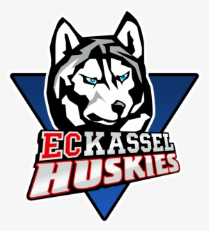 Detail Labrador Husky Nomer 16