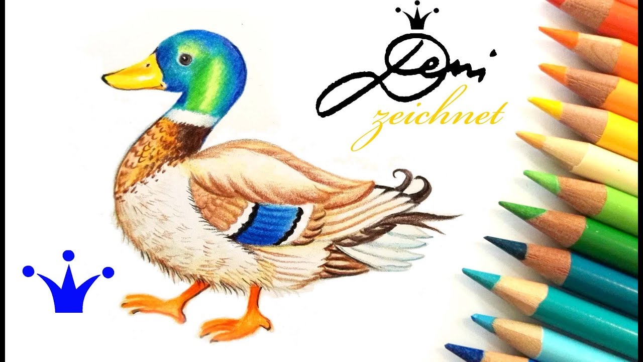 Detail Mistelzweig Zeichnen Nomer 20