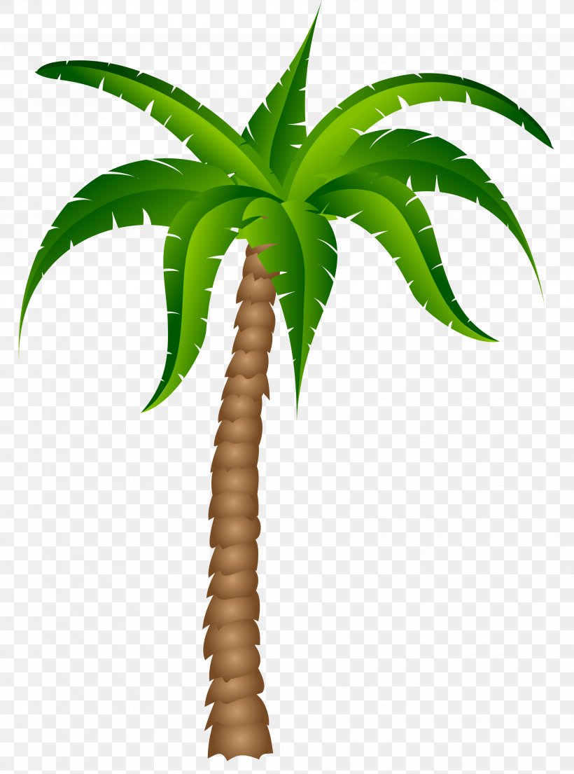 Palm Tree Color - KibrisPDR