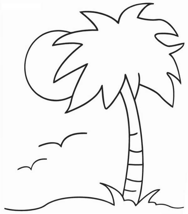 Detail Palm Tree Color Nomer 11
