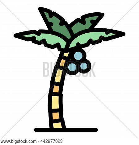 Detail Palm Tree Color Nomer 14