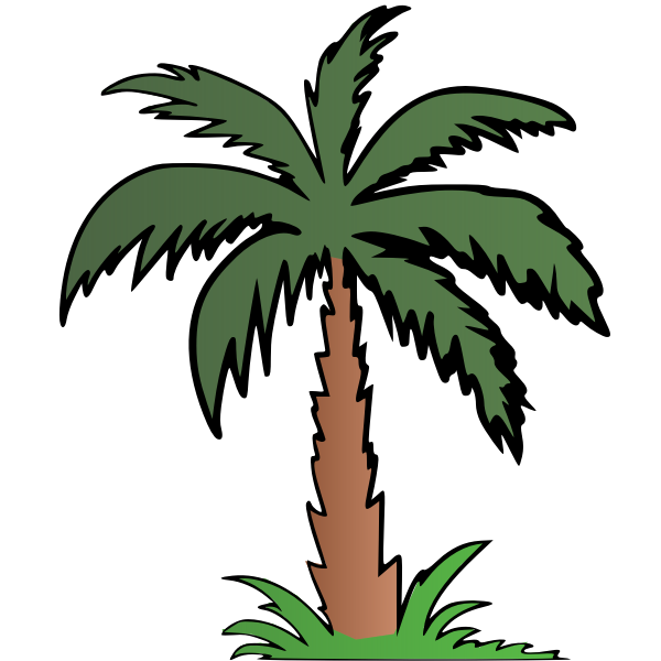 Detail Palm Tree Color Nomer 2