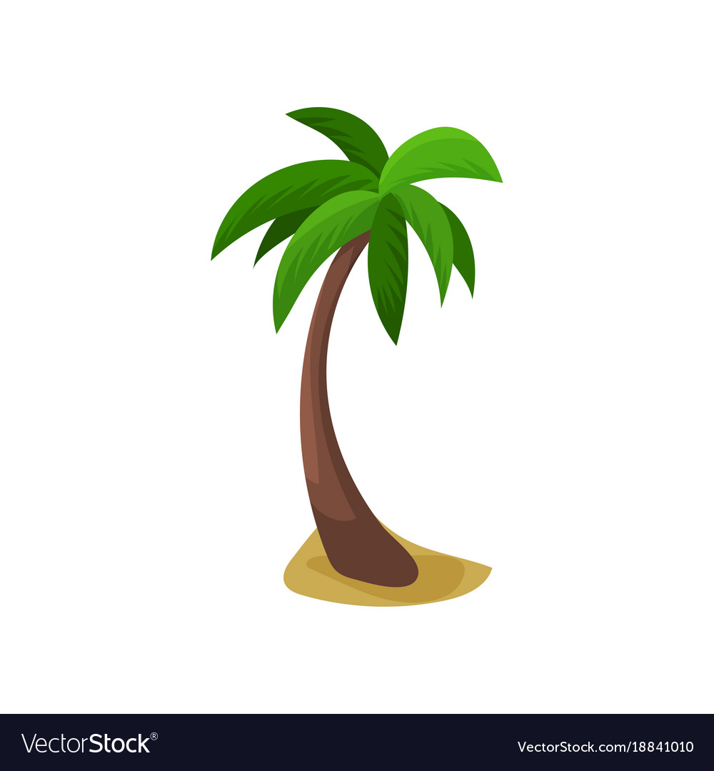 Detail Palm Tree Color Nomer 18