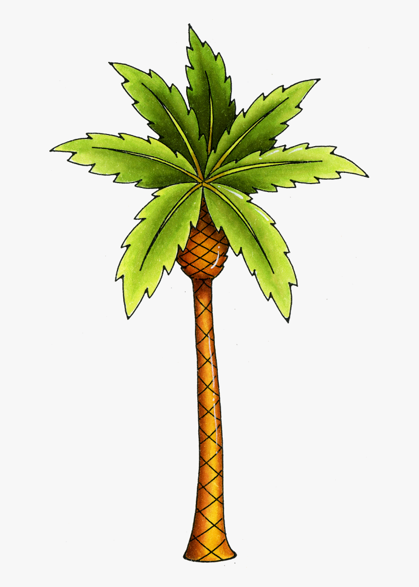 Detail Palm Tree Color Nomer 22