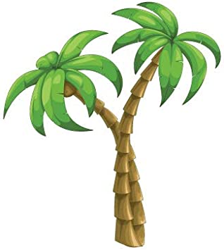 Detail Palm Tree Color Nomer 3