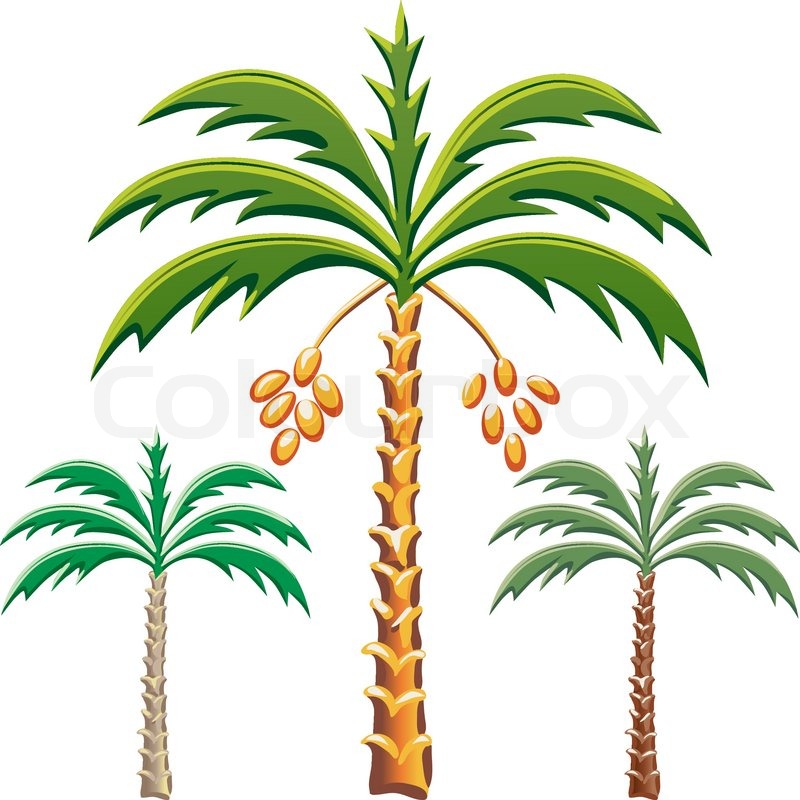 Detail Palm Tree Color Nomer 24