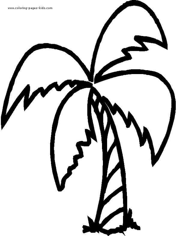 Detail Palm Tree Color Nomer 4
