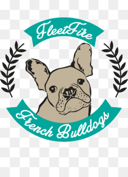 Detail American Bulldog Welpen Nomer 18