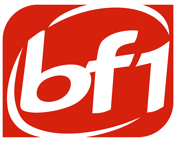 Detail Bf1 Logo Nomer 30