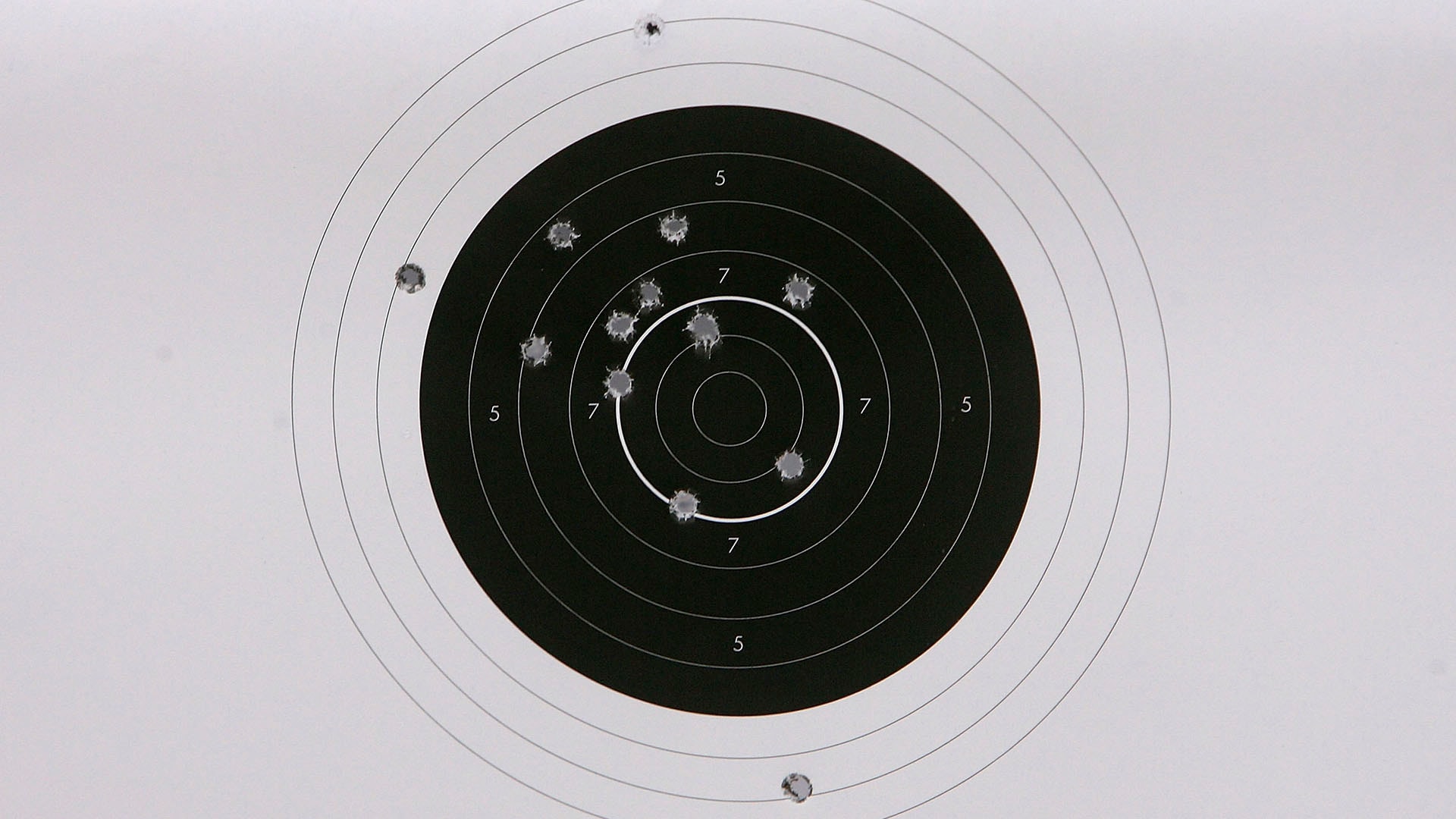 Detail Biathlon Target Size Nomer 8