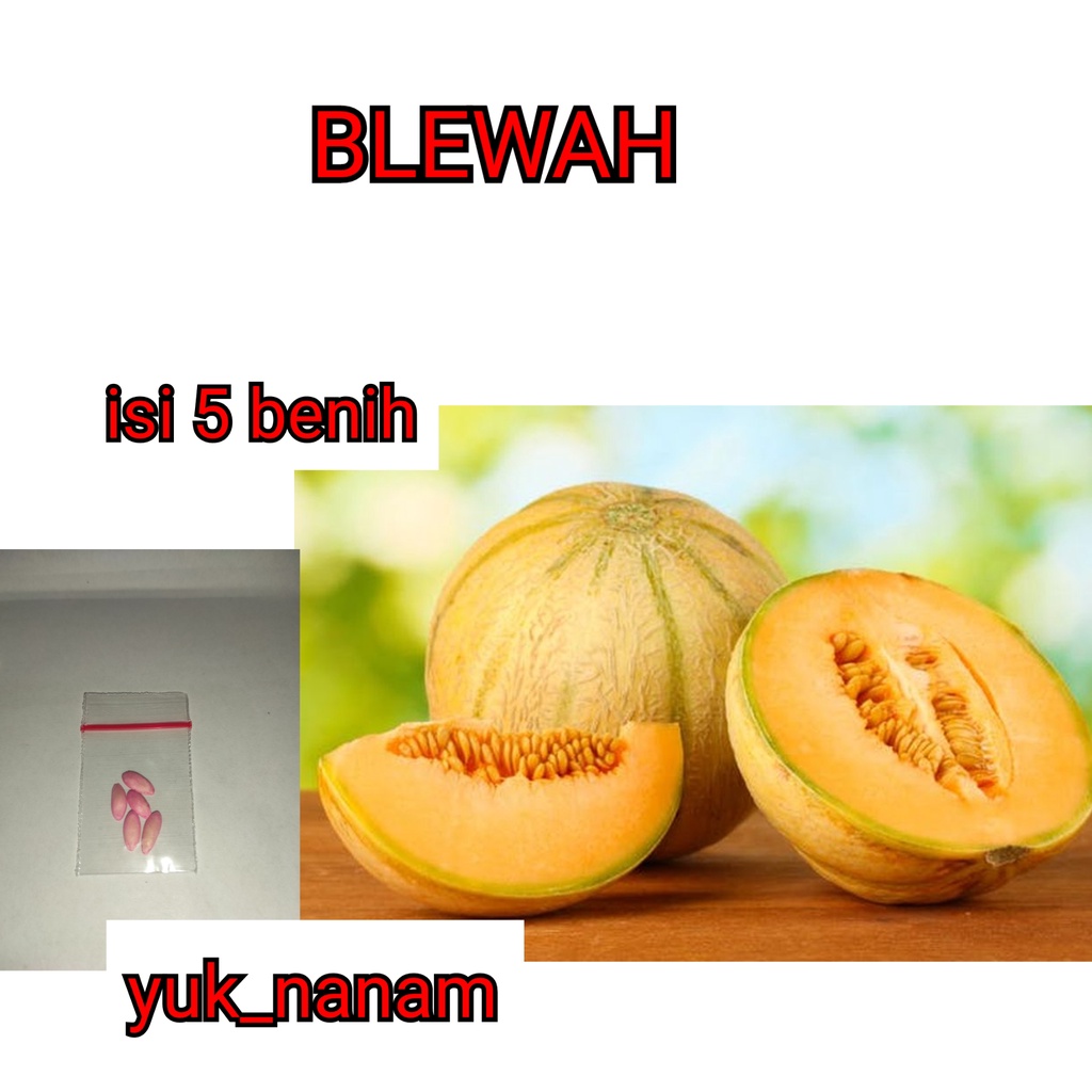 Detail Bibit Blewah Madu Nomer 17