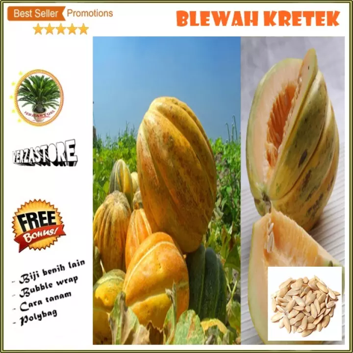 Detail Bibit Blewah Madu Nomer 21