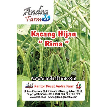 Detail Bibit Kacang Hijau Nomer 39