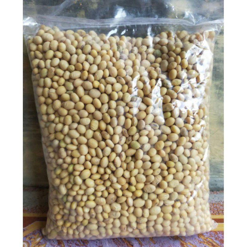 Detail Bibit Kacang Kedelai Nomer 50