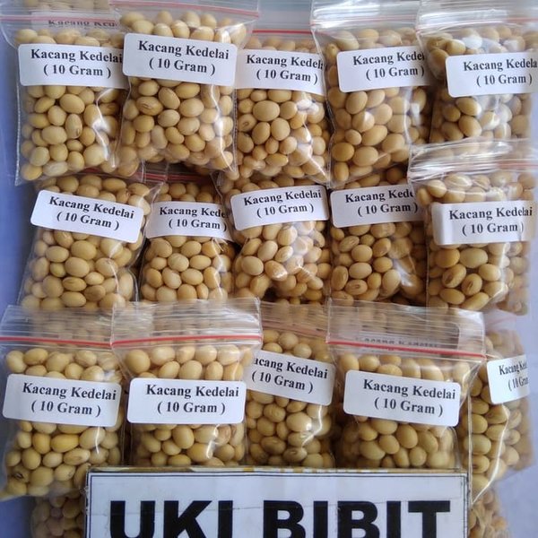 Detail Bibit Kacang Kedelai Nomer 7