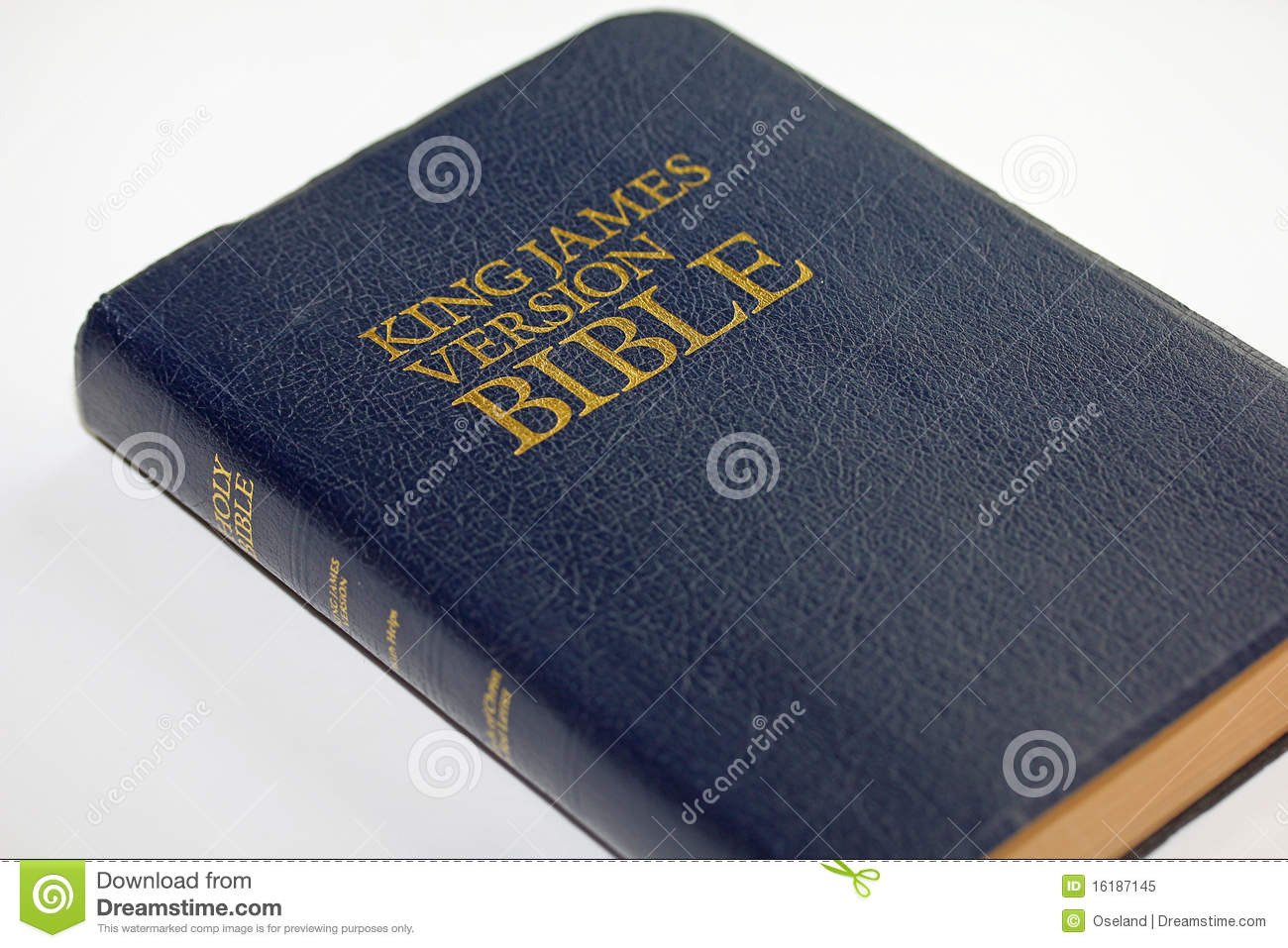 Detail Bible Images Free Download Nomer 40