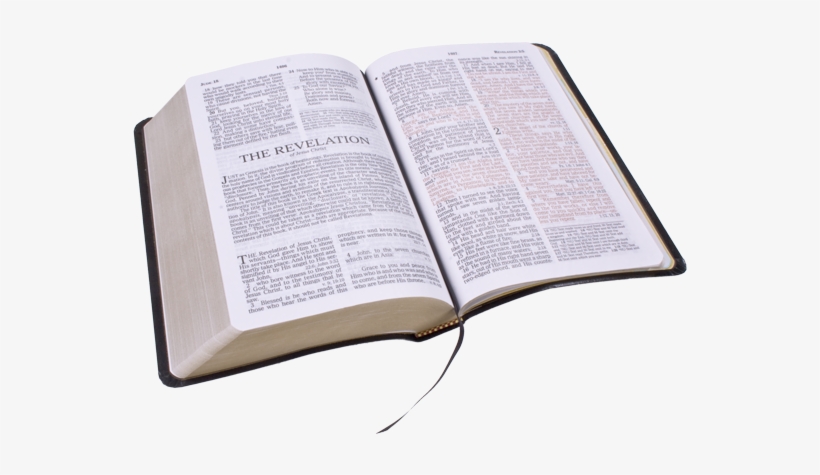 Detail Bible No Background Nomer 4