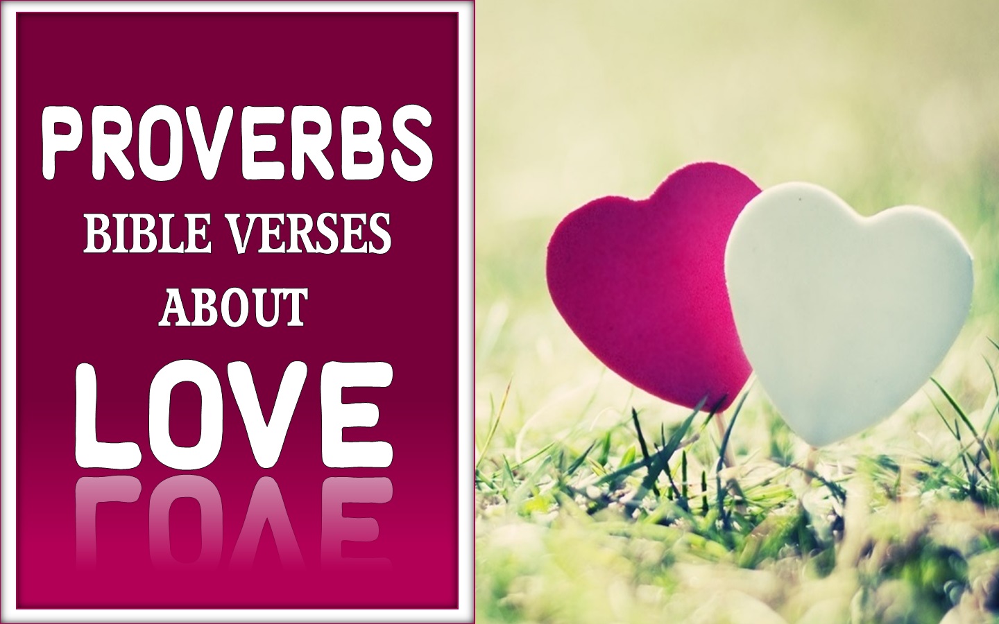 Detail Bible Quotes About Love Nomer 45