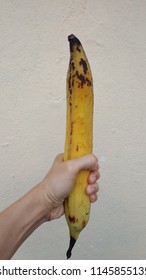 Detail Big Banana Picture Nomer 4