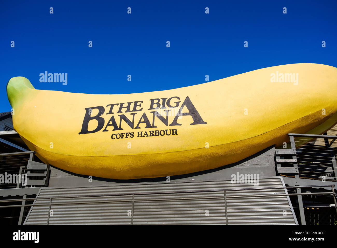 Detail Big Banana Picture Nomer 48